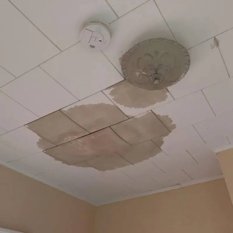 Ceiling Water Damage Repair in Brusly, LA